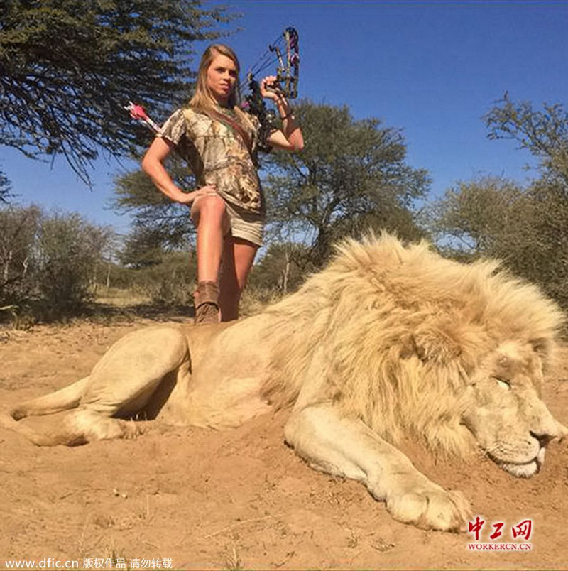 Illustration for article titled Is It Right To Hunt A Lion?